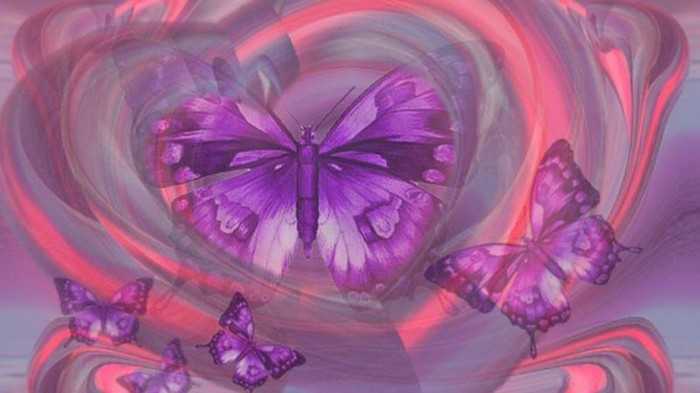 purple-butter-fly-heart