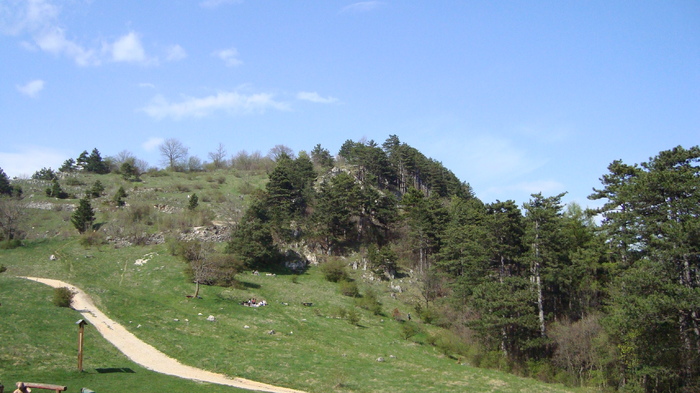 DSC02737 - Traseu   Brasov  Saua Tampei  Poiana Stechel   Valea cu Apa  Poiana Brasov  Rasnov coborare pe sosea