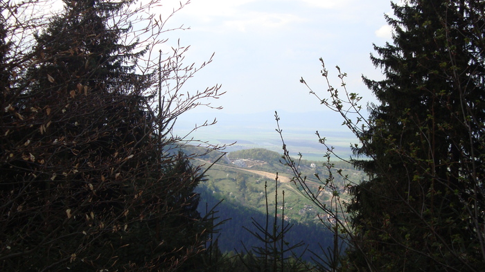 DSC02746 - Traseu   Brasov  Saua Tampei  Poiana Stechel   Valea cu Apa  Poiana Brasov  Rasnov coborare pe sosea