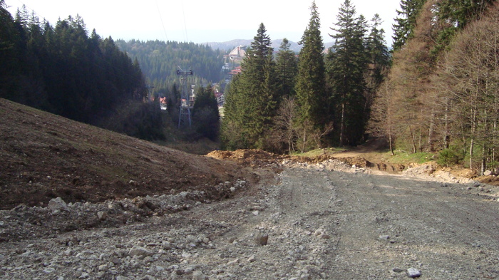 DSC02771 - Traseu   Brasov  Saua Tampei  Poiana Stechel   Valea cu Apa  Poiana Brasov  Rasnov coborare pe sosea