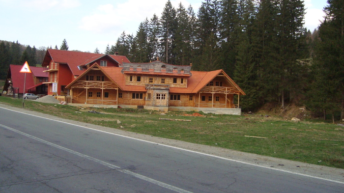 DSC02783 - Traseu   Brasov  Saua Tampei  Poiana Stechel   Valea cu Apa  Poiana Brasov  Rasnov coborare pe sosea