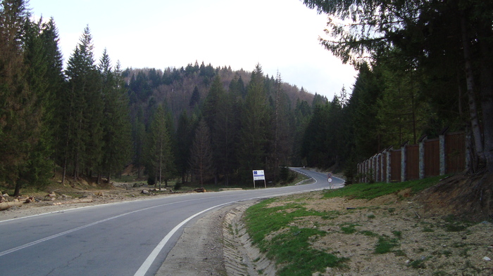 DSC02784 - Traseu   Brasov  Saua Tampei  Poiana Stechel   Valea cu Apa  Poiana Brasov  Rasnov coborare pe sosea