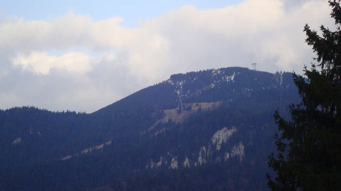 DSC02786 - Traseu   Brasov  Saua Tampei  Poiana Stechel   Valea cu Apa  Poiana Brasov  Rasnov coborare pe sosea