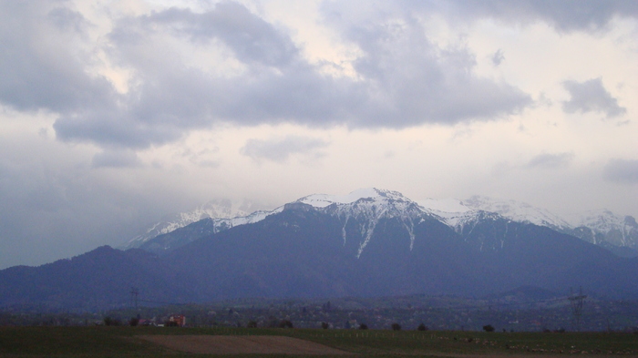 DSC02794 - Traseu   Brasov  Saua Tampei  Poiana Stechel   Valea cu Apa  Poiana Brasov  Rasnov coborare pe sosea