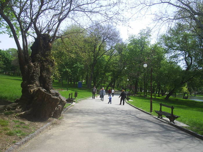 parc Romanesti - my city