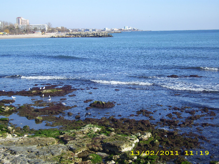 DSCI0032 - mangalia 2011