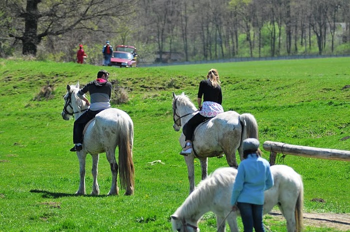 DSC_6546 - ECHITATIE 2011