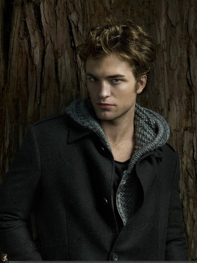 twilight-robert-pattinson-and-kristen-stewart-59