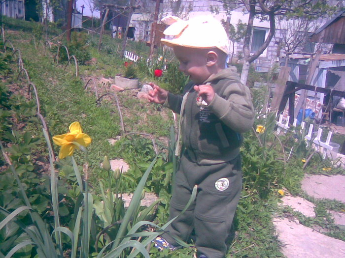 floricica mea cea mai scumpa...iustinel - gradina primavara 2011