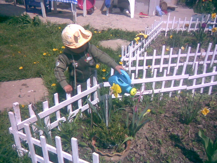 ajutorul meu de nadejde... - gradina primavara 2011