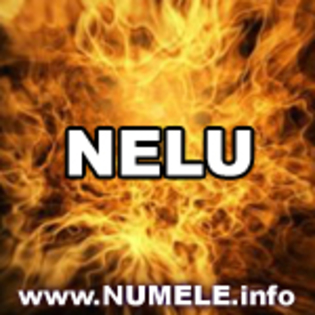 NELU avatare cu orice nume - Album pentru Nelu