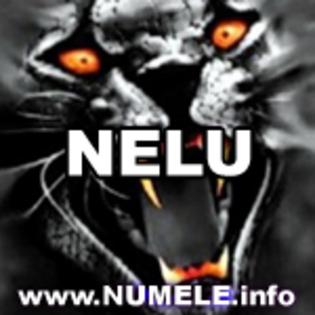 NELU avatare nume baieti - Album pentru Nelu