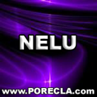 206-NELU abstract mov