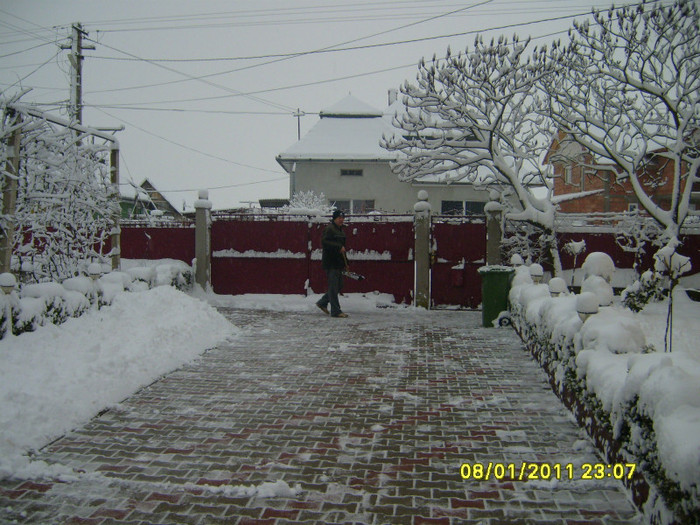 iarna - Acasa 2011