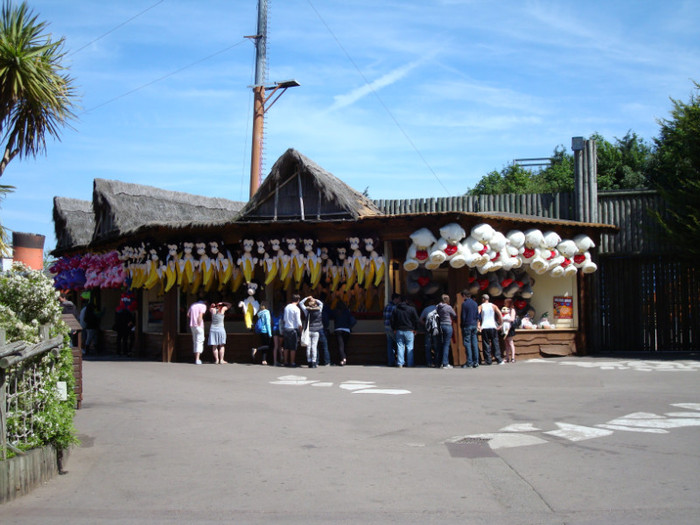 DSC07207