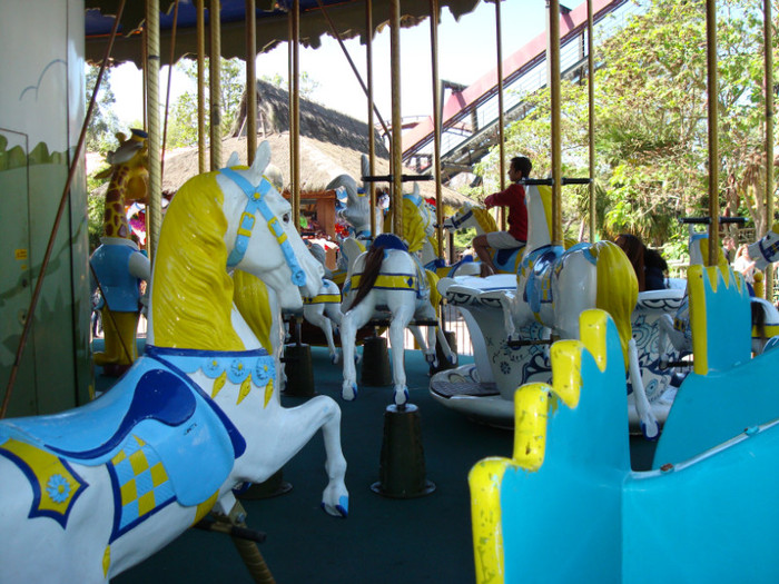 DSC07208