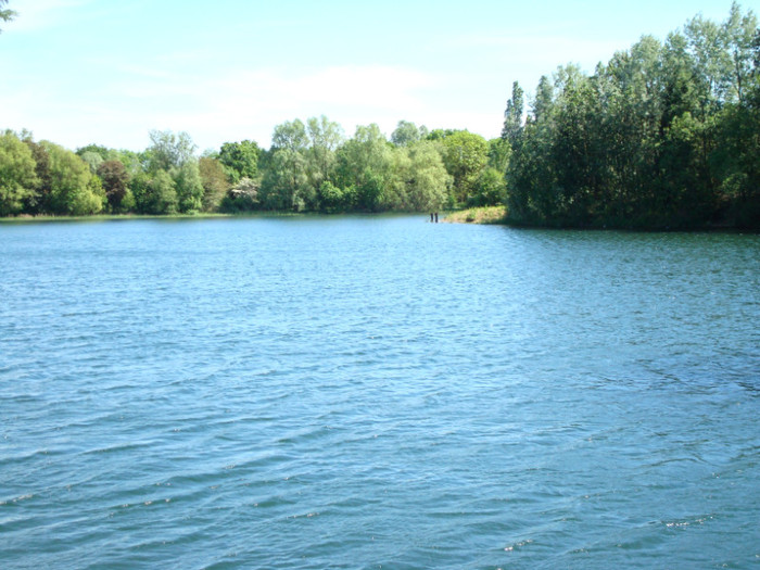 DSC07254