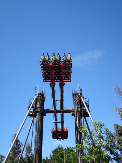 DSC07264