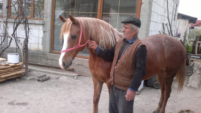 iapa mea cu tata - iapa mea de 17 ani