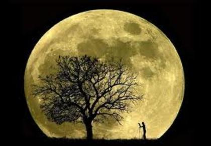 Luna plina - Good night