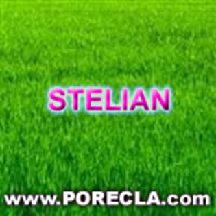 292-STELIAN avatare iarba verde