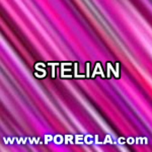 292-STELIAN cu roz litere - Album pentru Stelica TATA