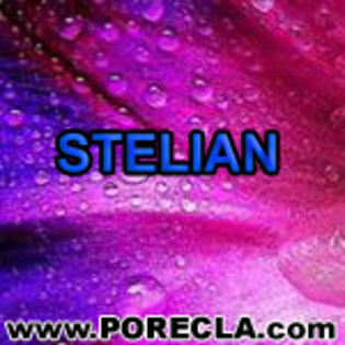 292-STELIAN ingineru
