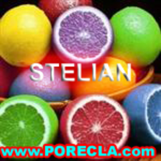 292-STELIAN lamaia (Custom)