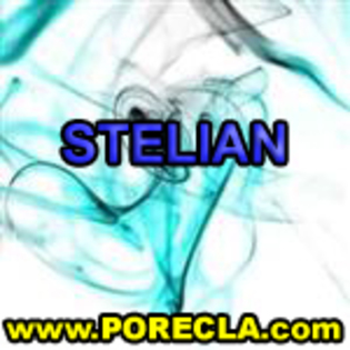 292-STELIAN manager - Album pentru Stelica TATA