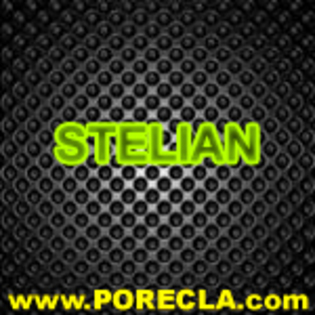 292-STELIAN munteanu gauri negre