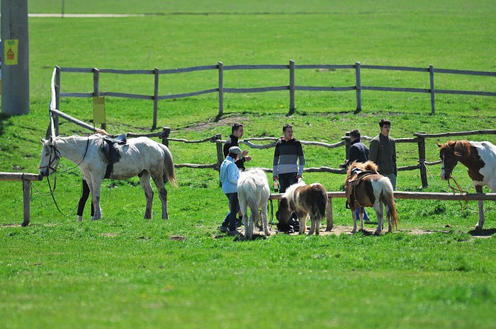 DSC_6522 - ECHITATIE 2011