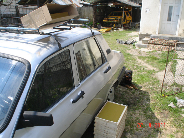 DSC05180 - Albine 2011