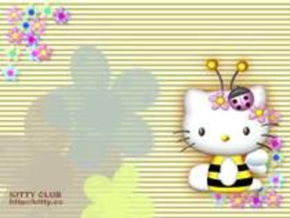 33262632_PBBUOSLDX - Hello Kitty