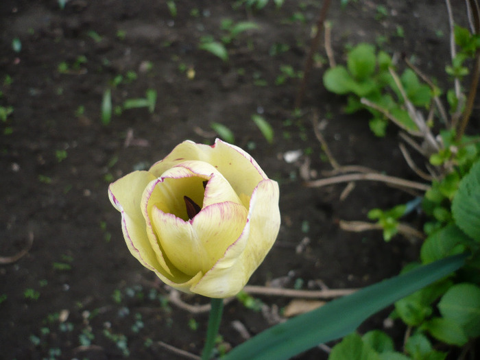 P1060772