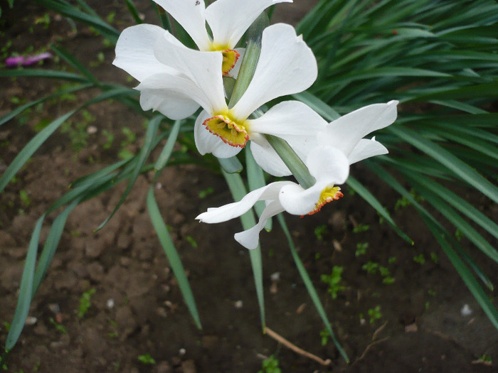 P1060782