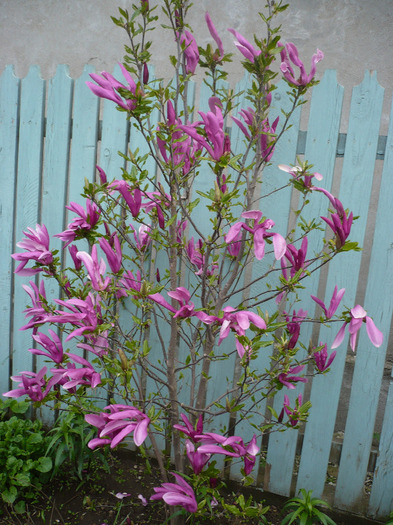 P1060783