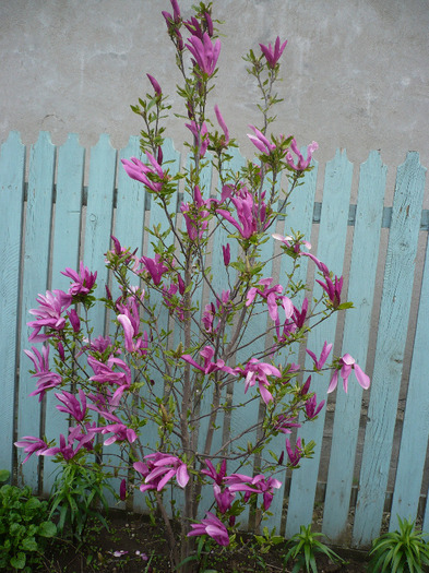 P1060784