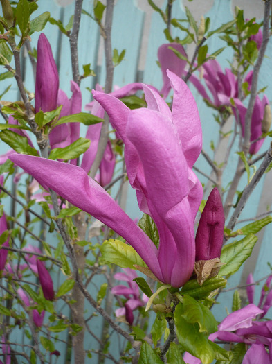 P1060786