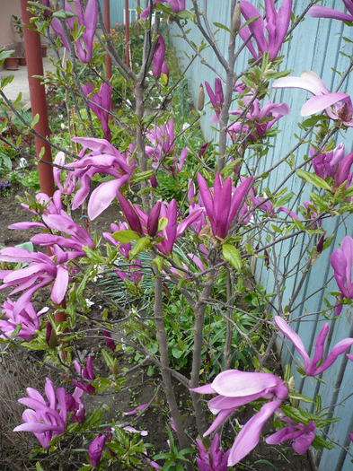 P1060787