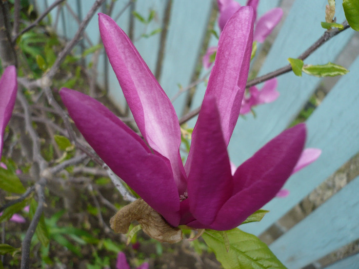 P1060789