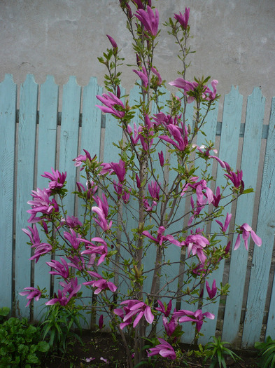 P1060790