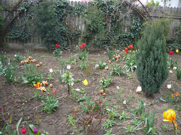 P1060795