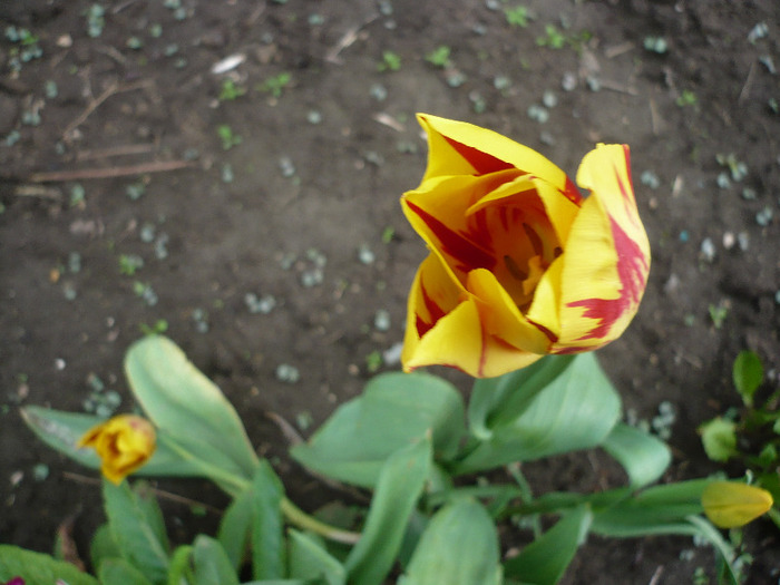 P1060800