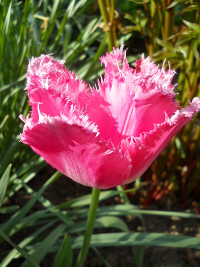 047