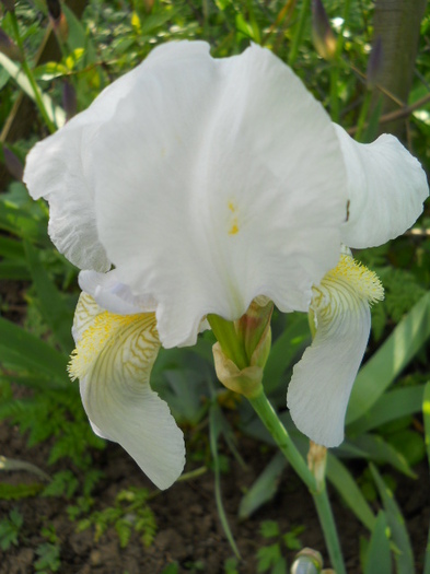 039