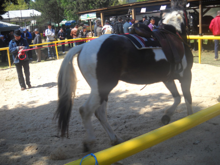 Picture 060 - EXPO AGRARIA 2011