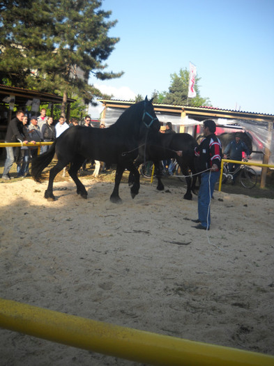 Picture 200 - EXPO AGRARIA 2011