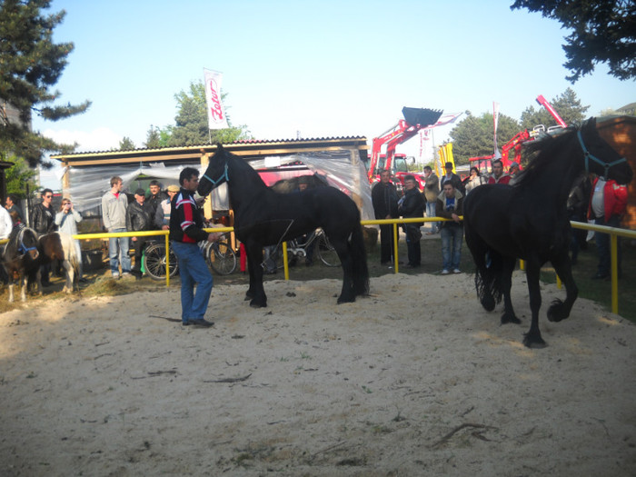 Picture 201 - EXPO AGRARIA 2011