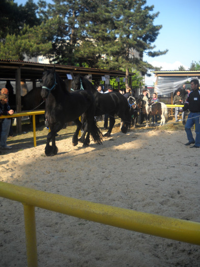 Picture 204 - EXPO AGRARIA 2011