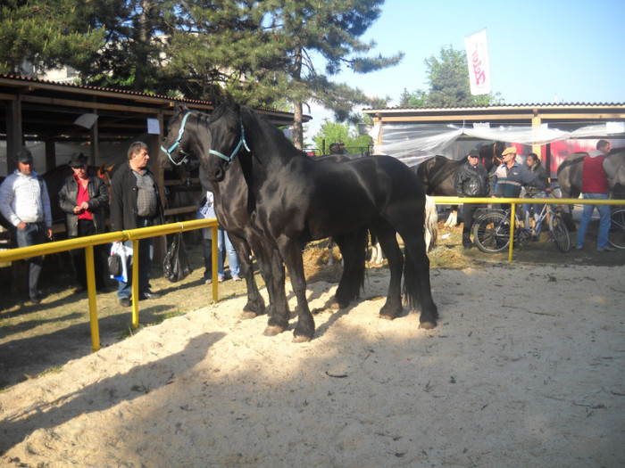 Picture 205 - EXPO AGRARIA 2011